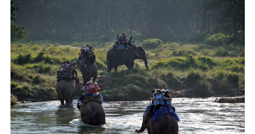 दशैंमा चितवन घुम्ने पर्यटक २० हजार, राजश्व १ करोड ७६ लाख